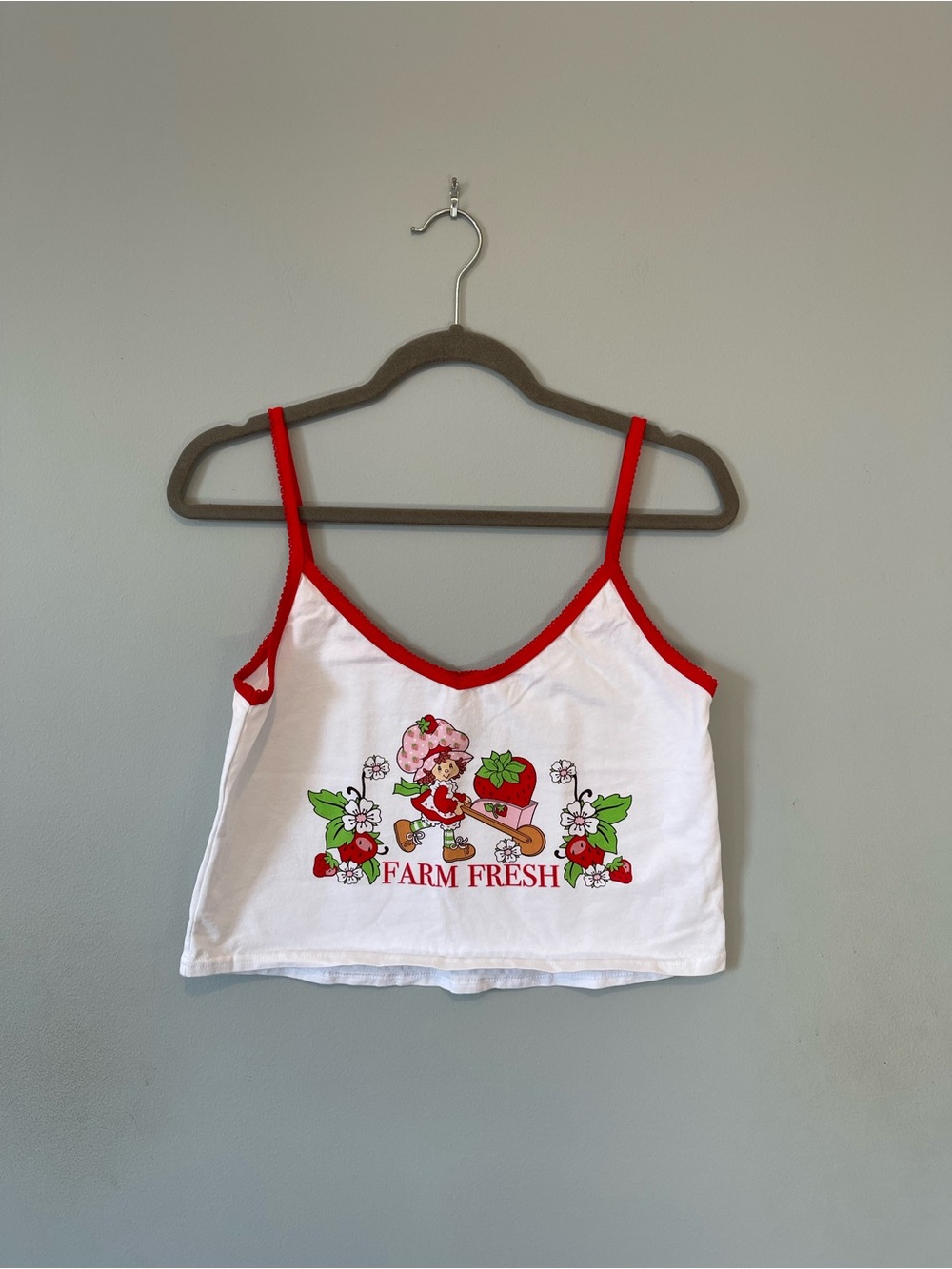Strawberry Shortcake Cami and Boyshorts Set